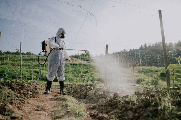 Best Pest Control Treatment  in Mount Hermon, VA