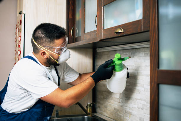 Best Pest Prevention Services  in Mount Hermon, VA