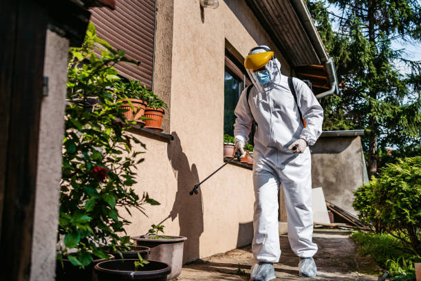 Best Mosquito Control Services  in Mount Hermon, VA