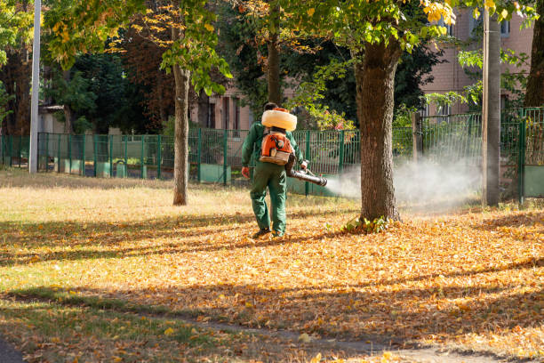 Best Pest Control Cost  in Mount Hermon, VA