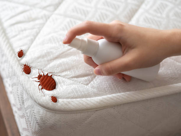 Best Best Pest Control Companies  in Mount Hermon, VA