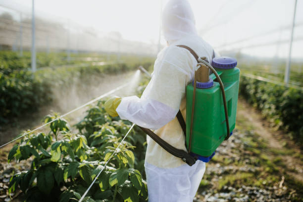 Bird Control in Mount Hermon, VA